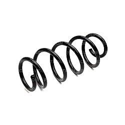 Пружина подвески задняя PATRON PCS999021 Duster 4X2